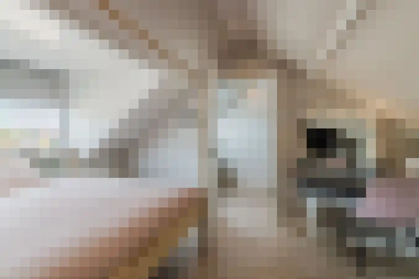 Koningin Emmastraat 8 Rijsbergen thumbnail 37
