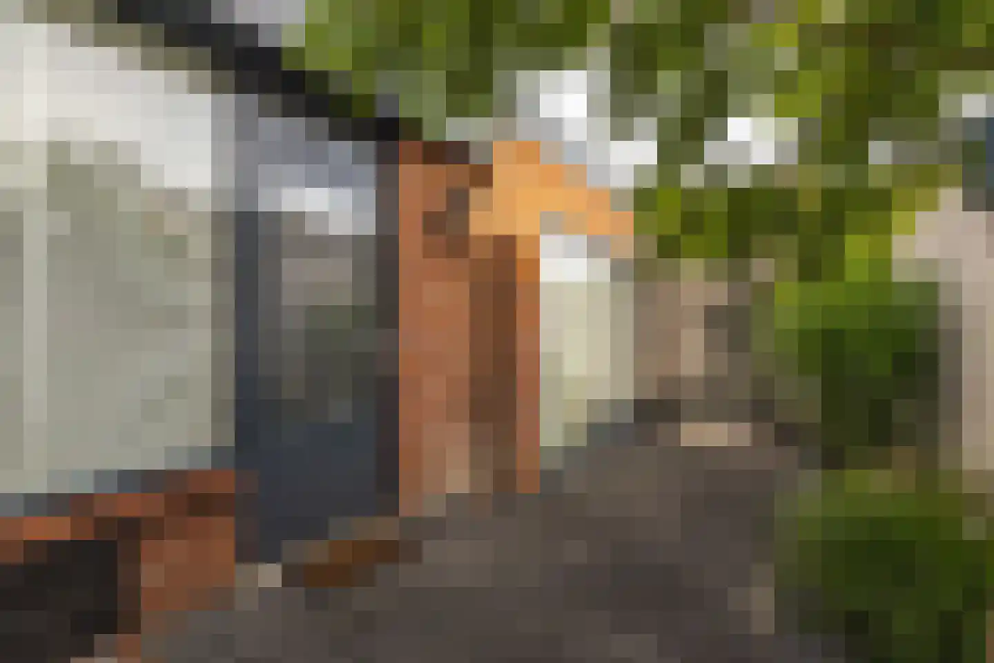 Koningin Emmastraat 8 Rijsbergen thumbnail 39