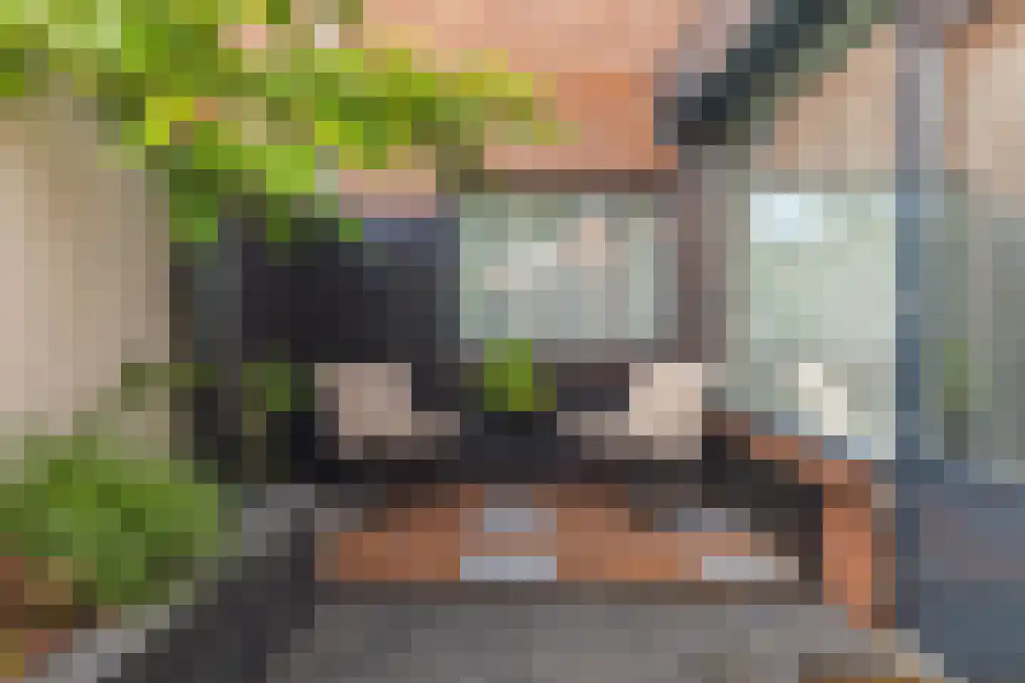 Koningin Emmastraat 8 Rijsbergen thumbnail 6
