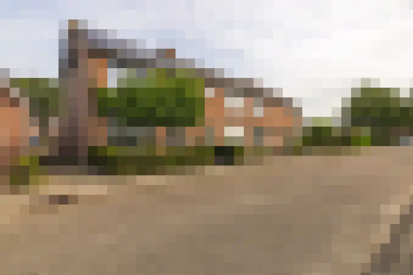 Koningin Emmastraat 8 Rijsbergen thumbnail 7