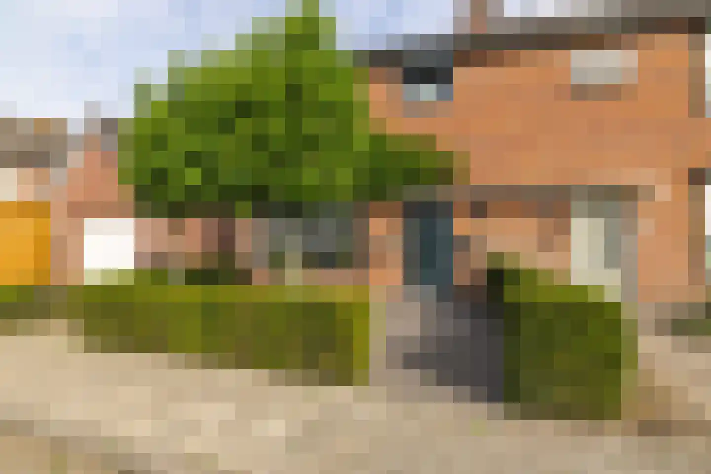 Koningin Emmastraat 8 Rijsbergen thumbnail 8