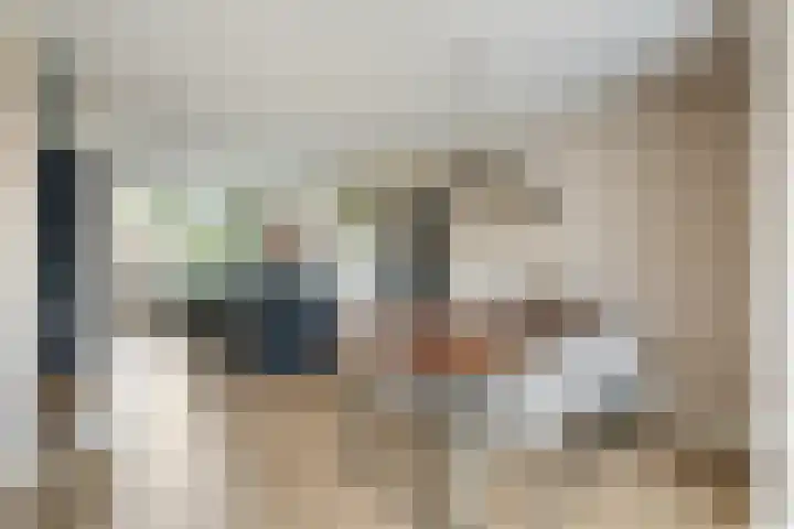 Koningin Emmaweg 15 Houten thumbnail 12