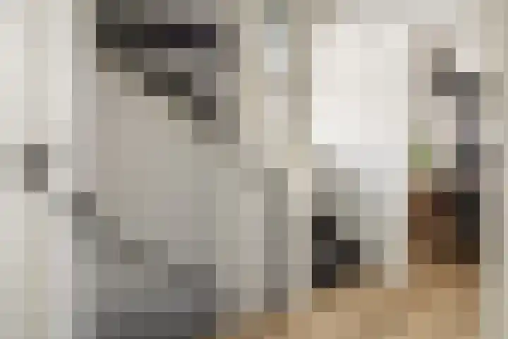 Koningin Emmaweg 15 Houten thumbnail 23