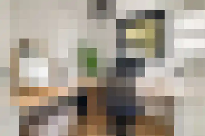 Koningin Emmaweg 15 Houten thumbnail 24