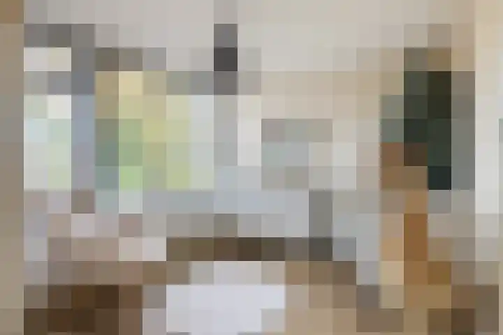 Koningin Emmaweg 15 Houten thumbnail 25