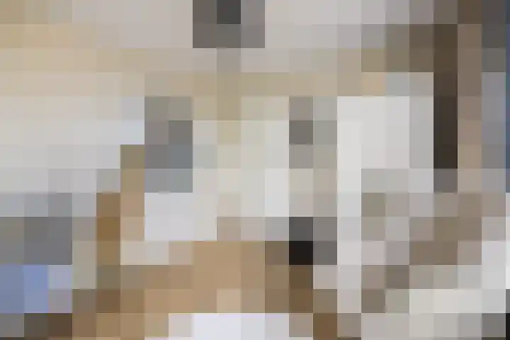 Koningin Emmaweg 15 Houten thumbnail 27