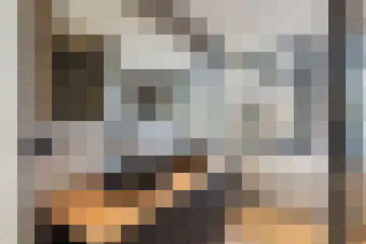 Koningin Emmaweg 15 Houten thumbnail 30