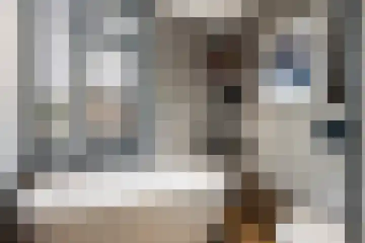 Koningin Emmaweg 15 Houten thumbnail 31