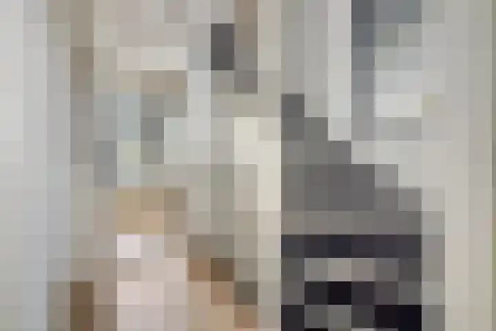 Koningin Emmaweg 15 Houten thumbnail 33
