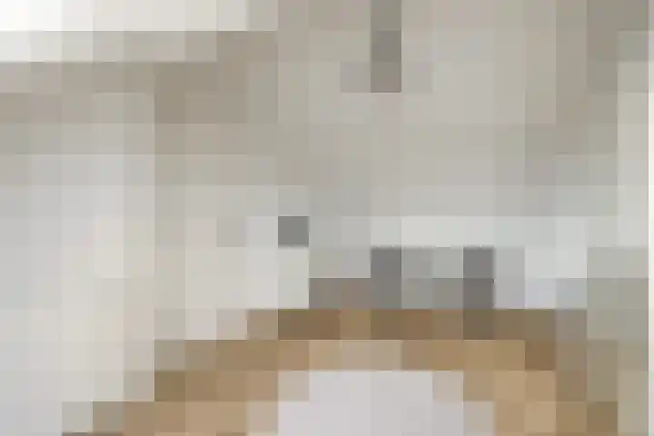 Koningin Emmaweg 15 Houten thumbnail 36