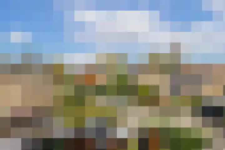Koningin Emmaweg 15 Houten thumbnail 38