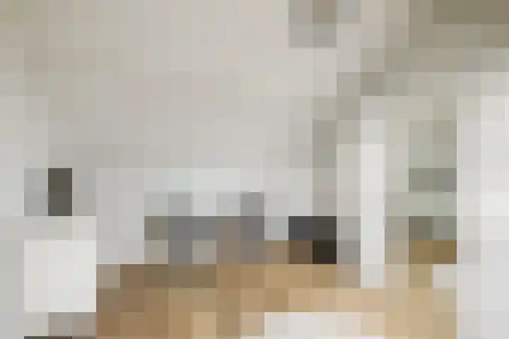 Koningin Emmaweg 15 Houten thumbnail 39