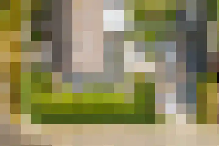 Koningin Emmaweg 15 Houten thumbnail 40
