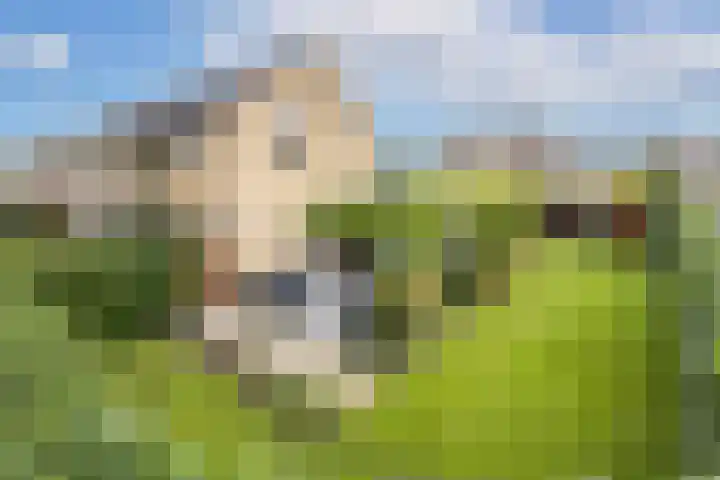 Koningin Emmaweg 15 Houten thumbnail 41