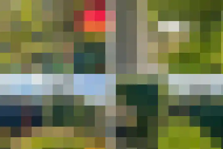 Koningin Emmaweg 15 Houten thumbnail 42