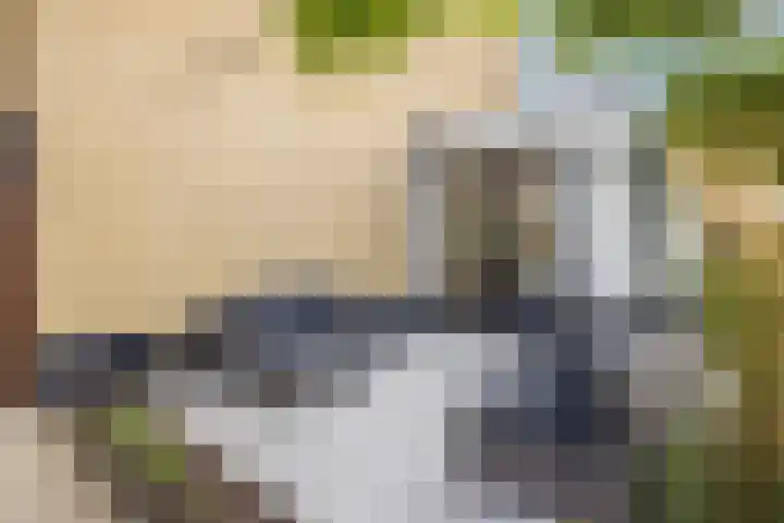 Koningin Emmaweg 15 Houten thumbnail 44