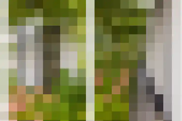 Koningin Emmaweg 15 Houten thumbnail 45
