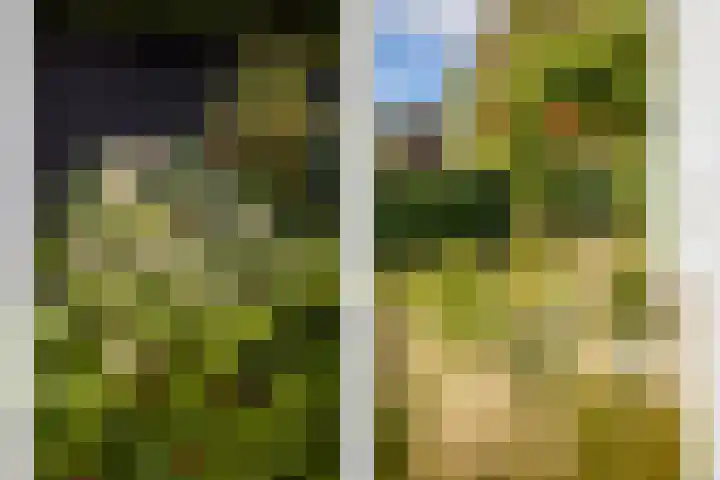 Koningin Emmaweg 15 Houten thumbnail 47