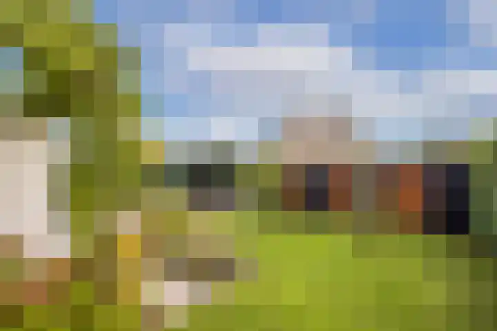 Koningin Emmaweg 15 Houten thumbnail 48
