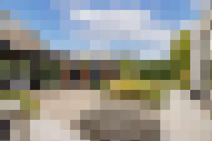 Koningin Emmaweg 15 Houten thumbnail 49