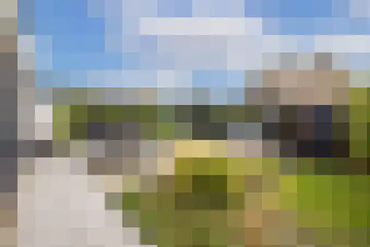 Koningin Emmaweg 15 Houten thumbnail 50