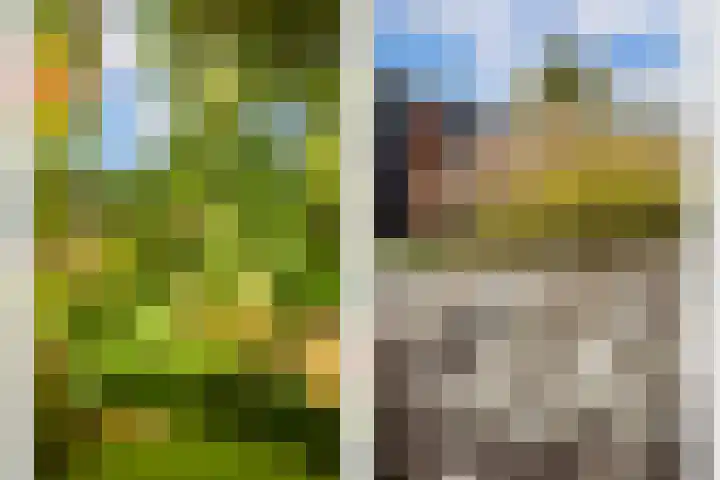 Koningin Emmaweg 15 Houten thumbnail 51