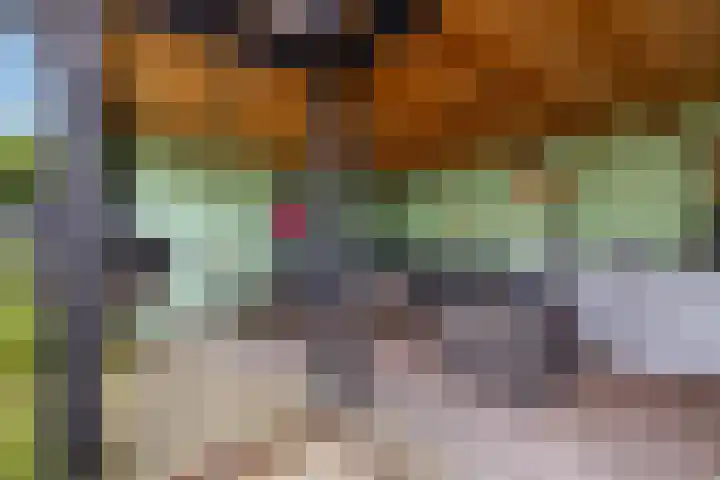 Koningin Emmaweg 15 Houten thumbnail 54