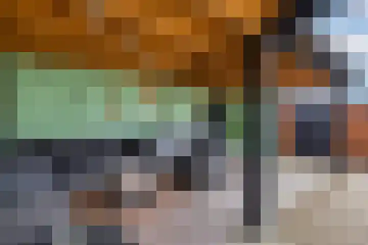 Koningin Emmaweg 15 Houten thumbnail 55
