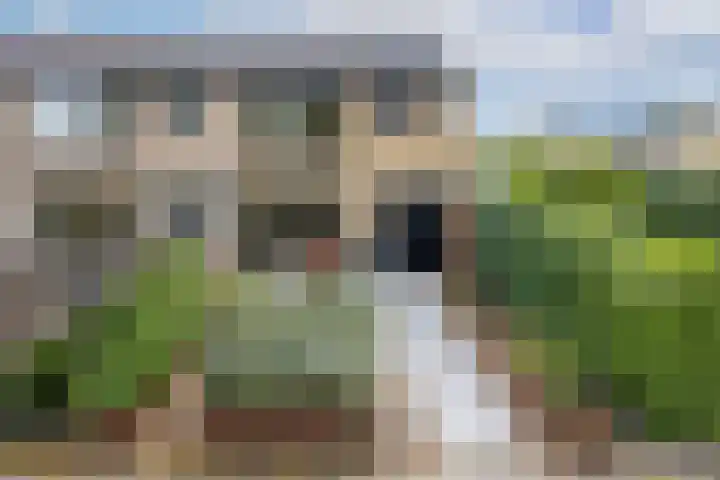 Koningin Emmaweg 15 Houten thumbnail 58