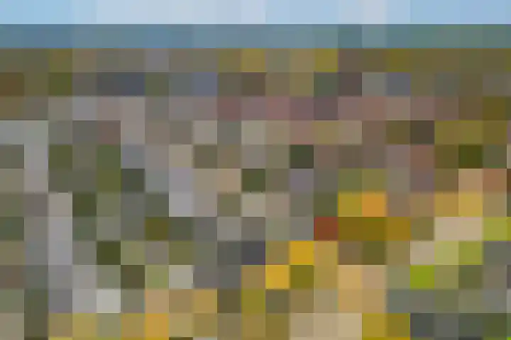 Koningin Emmaweg 15 Houten thumbnail 62