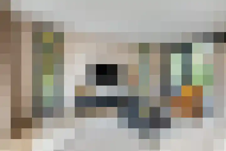 Koningin Emmaweg 15 Houten thumbnail 9