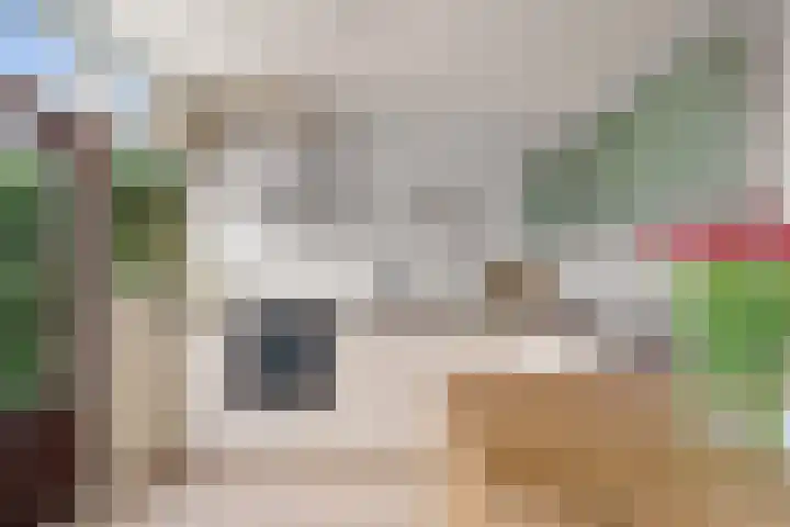 Koningin Emmaweg 24 Houten thumbnail 11