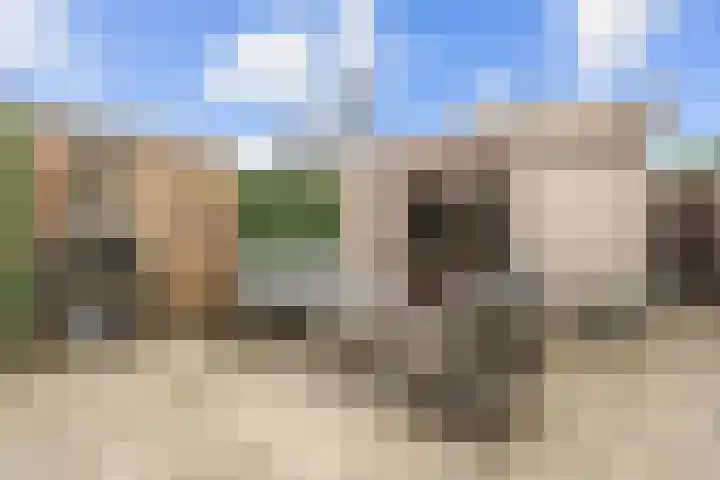 Koningin Emmaweg 24 Houten thumbnail 18