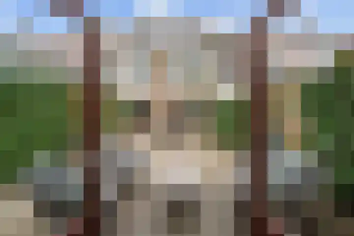 Koningin Emmaweg 24 Houten thumbnail 20