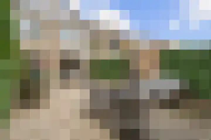 Koningin Emmaweg 24 Houten thumbnail 21