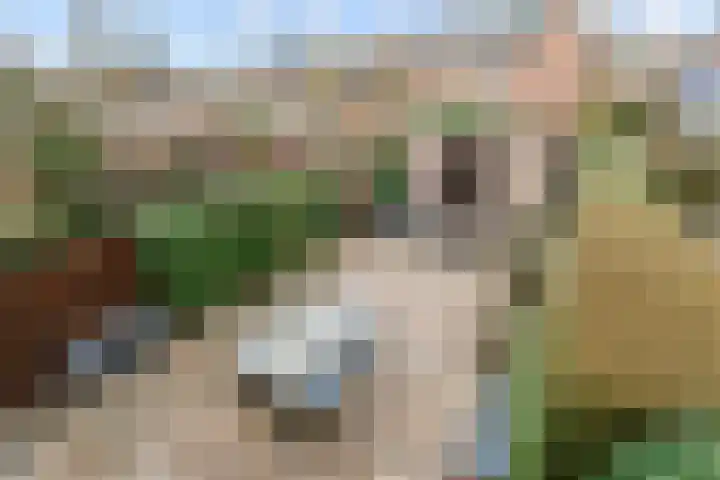 Koningin Emmaweg 24 Houten thumbnail 24