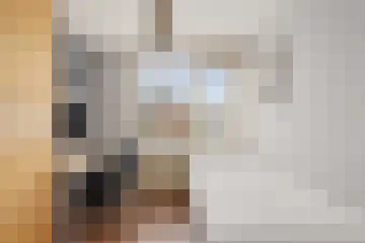 Koningin Emmaweg 24 Houten thumbnail 34