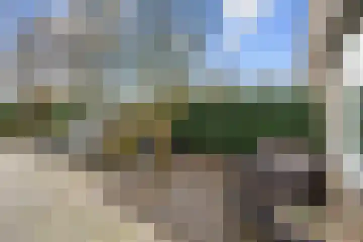 Koningin Emmaweg 24 Houten thumbnail 43