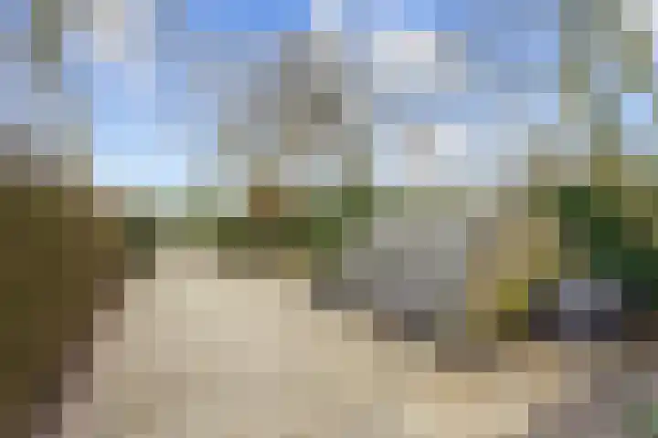 Koningin Emmaweg 24 Houten thumbnail 44