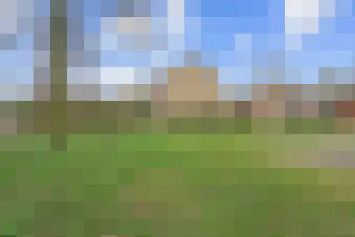 Koningin Emmaweg 24 Houten thumbnail 49