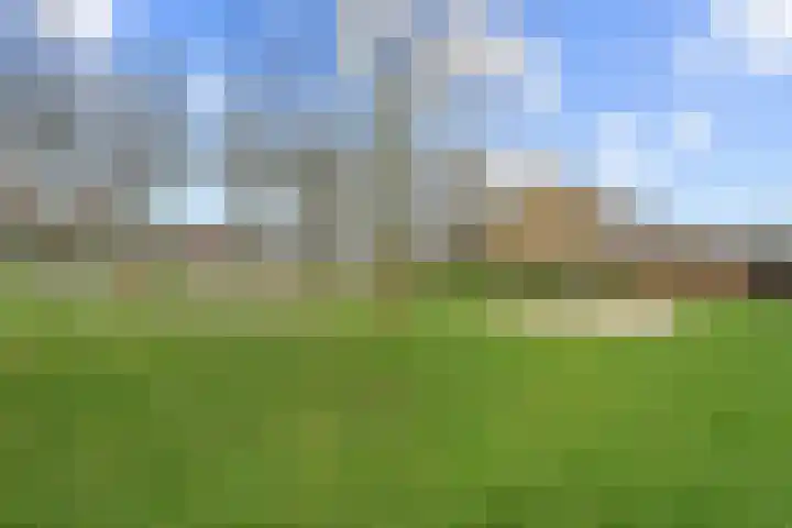 Koningin Emmaweg 24 Houten thumbnail 51