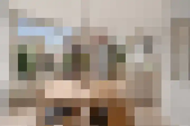 Koningin Emmaweg 24 Houten thumbnail 9