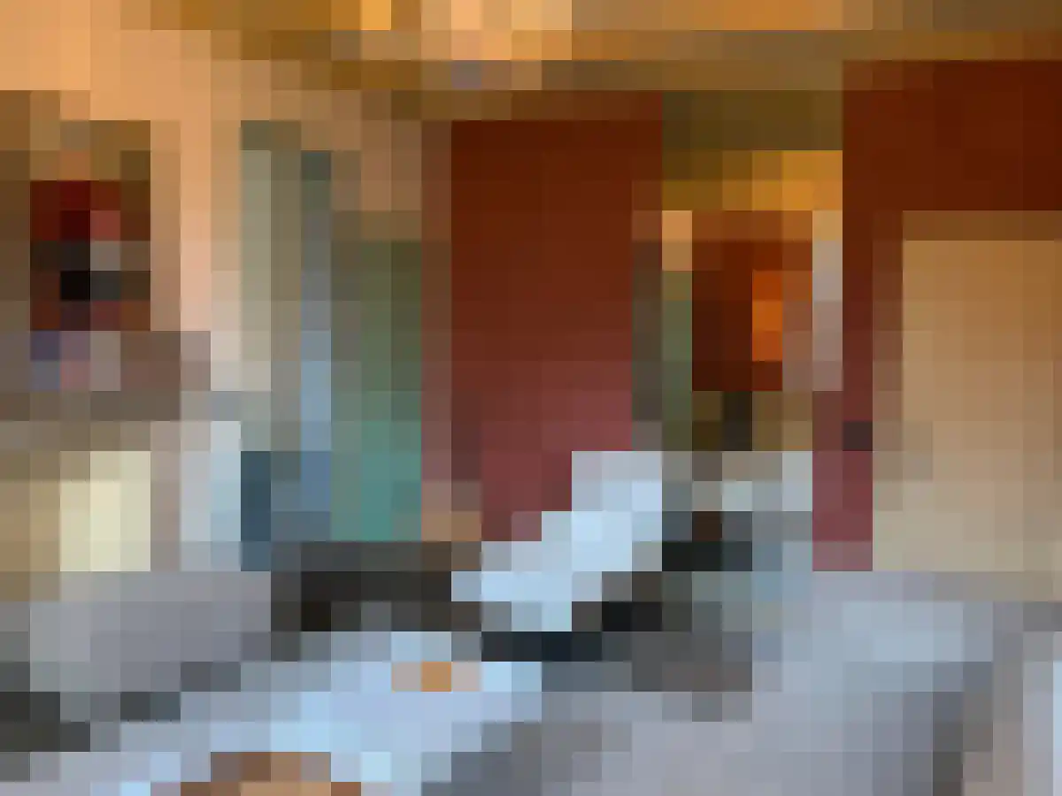 Koningin Emmaweg 30 Vrouwenpolder thumbnail 4