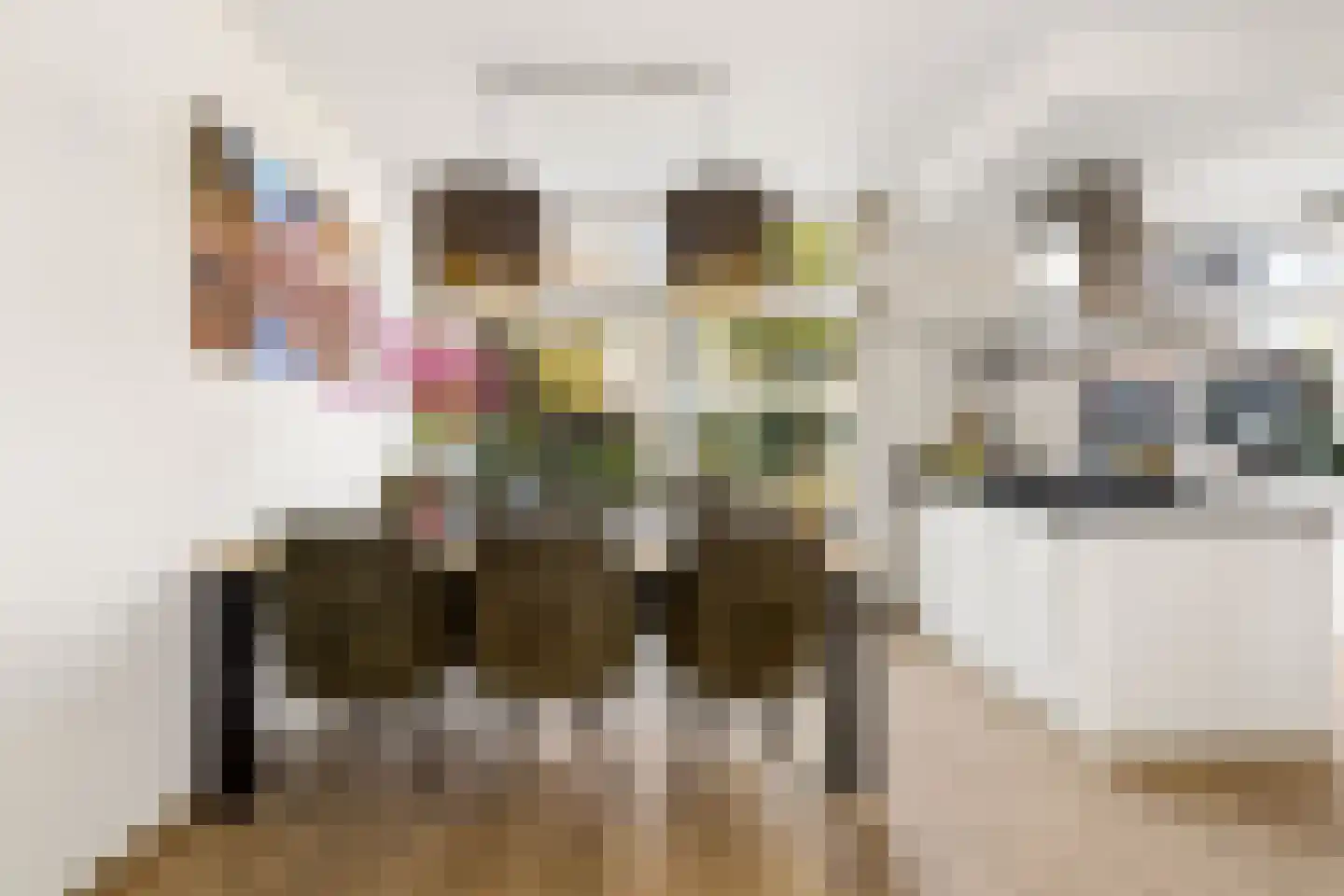 Koningin Emmaweg 32 Houten thumbnail 13