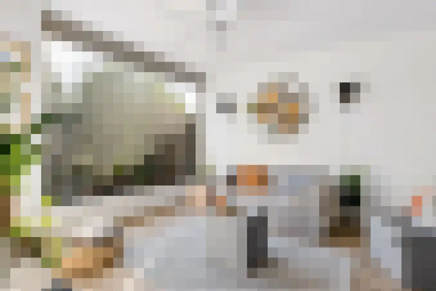 Koningin Emmaweg 32 Houten thumbnail 14