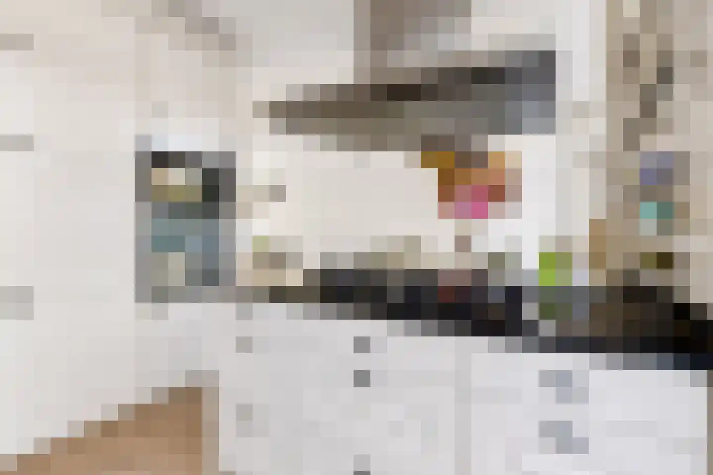 Koningin Emmaweg 32 Houten thumbnail 17