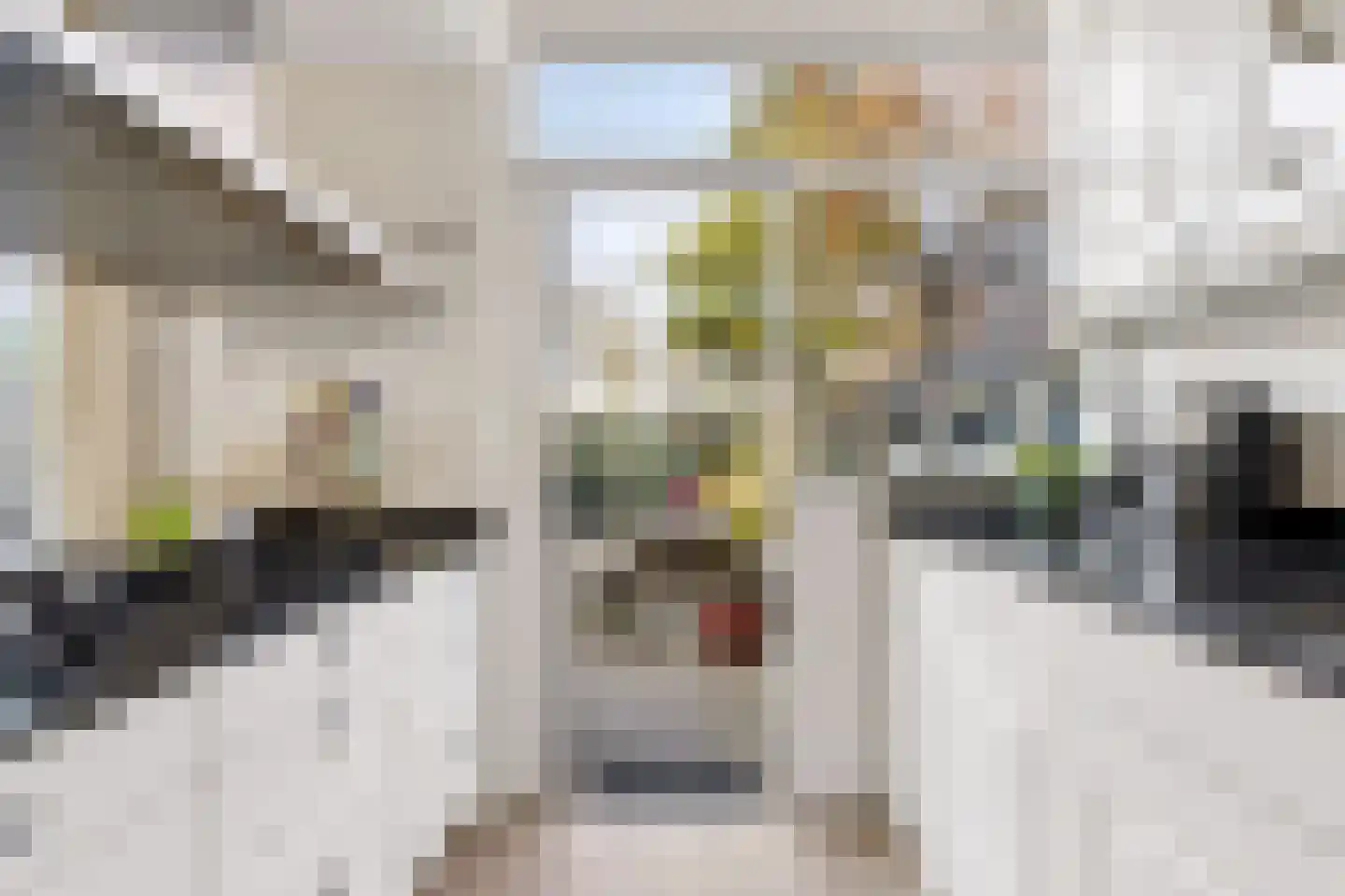 Koningin Emmaweg 32 Houten thumbnail 22
