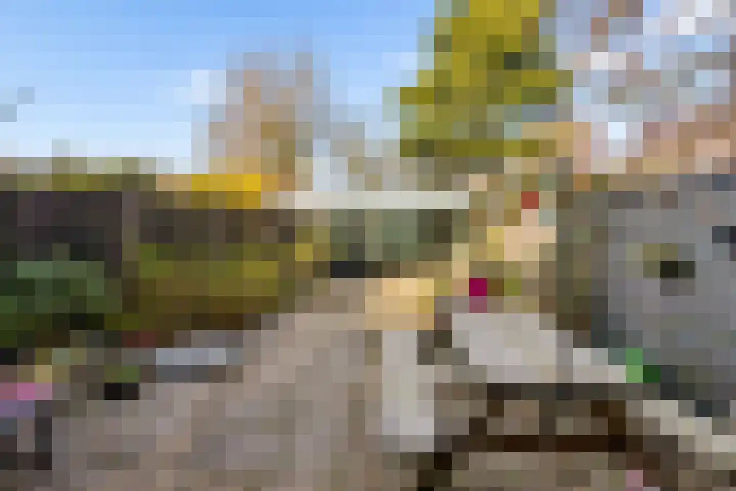 Koningin Emmaweg 32 Houten thumbnail 43
