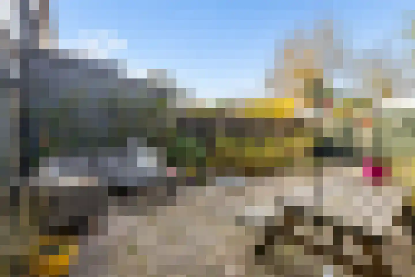 Koningin Emmaweg 32 Houten thumbnail 45