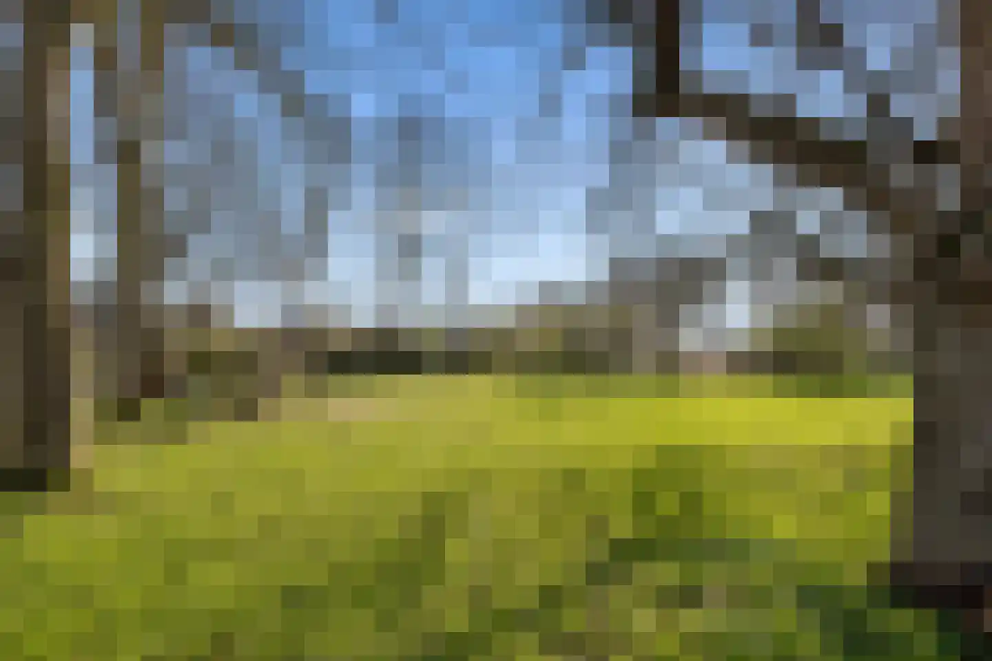 Koningin Emmaweg 32 Houten thumbnail 52